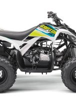 YFM90R white